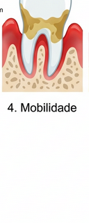 FASE 4: Mobilidade